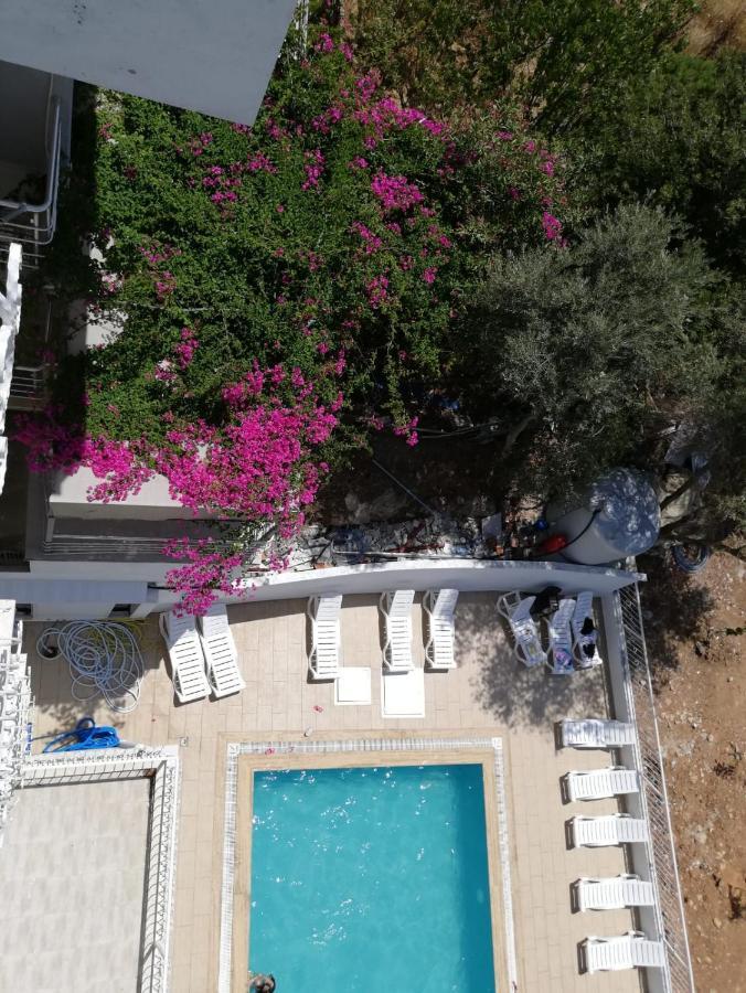 Cicek Apart Otel Didim Exteriér fotografie
